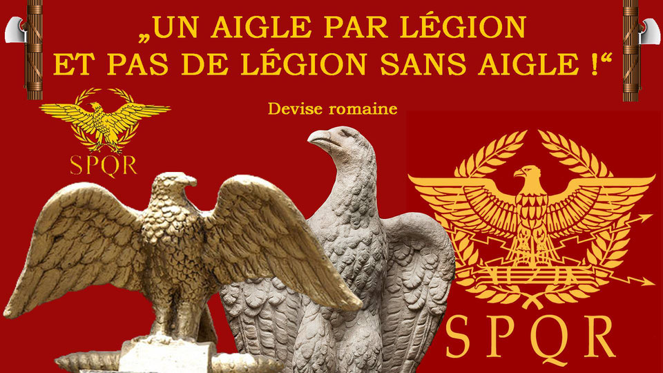 aigle