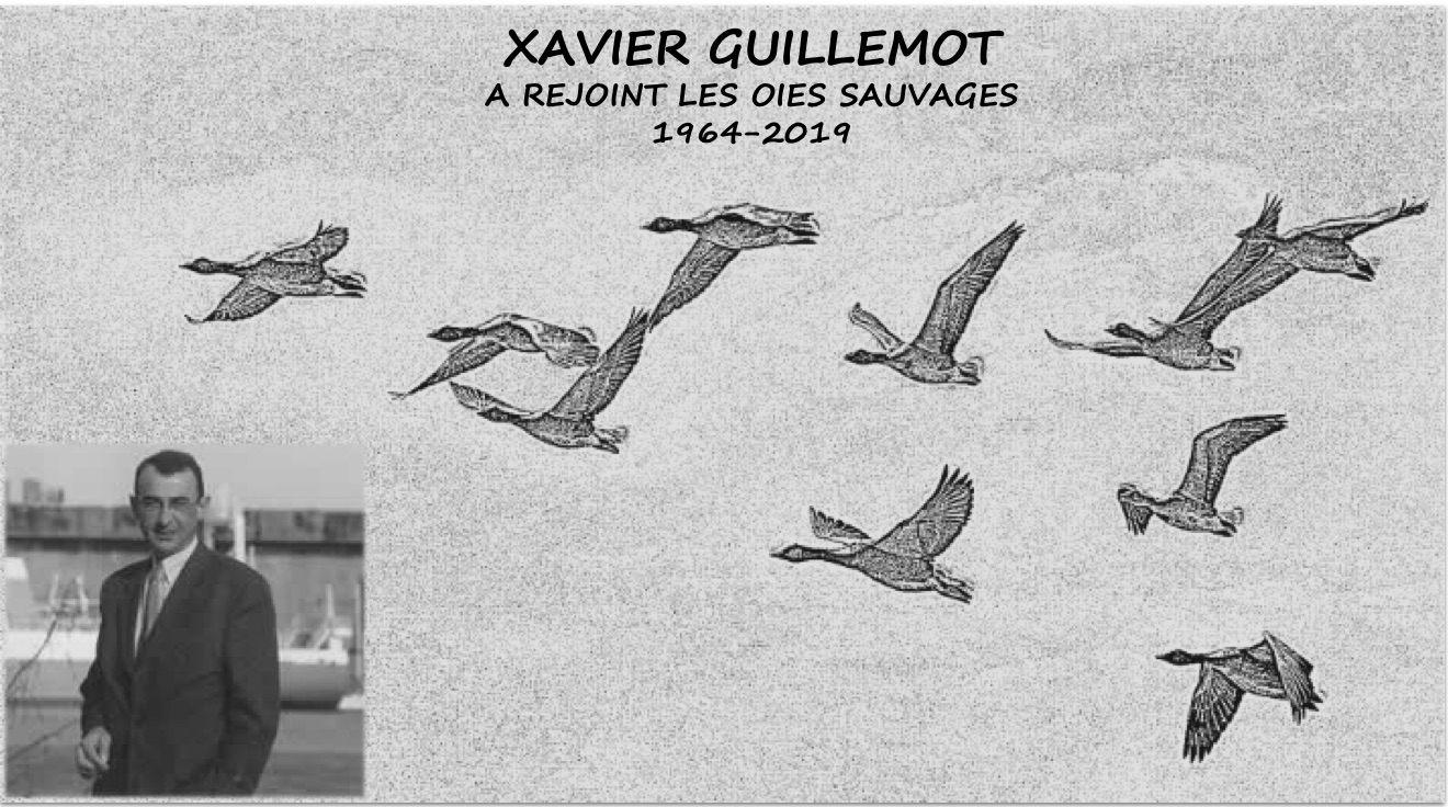 guillemot breizh info