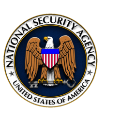 NSA Logo