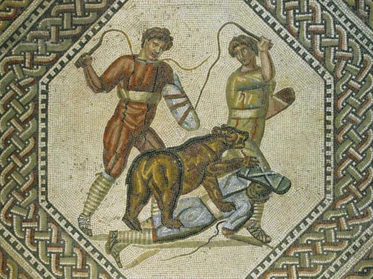 des archeologues decouvrent la preuve directe de la presence d ours dans les jeux romains