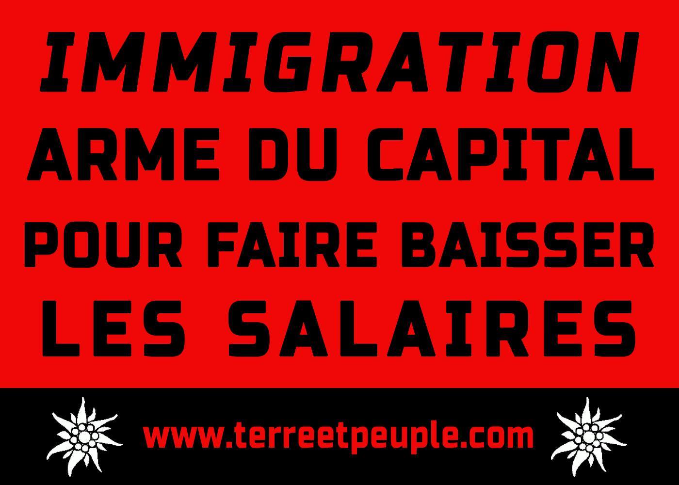 immigration arme du capital pour faire baisser les salaires