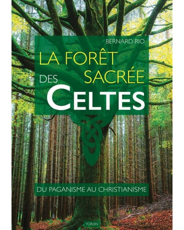 la foret sacree des celtes