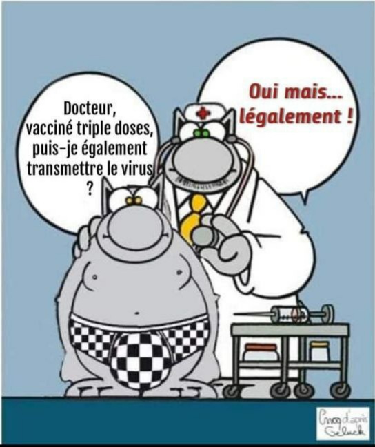 le chat vaccin