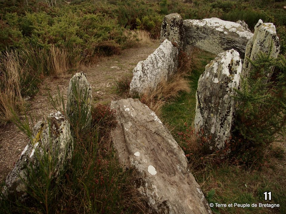 tp breizh tombe Les Landes de Cojoux: