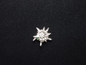 broche_edelweiss.jpg