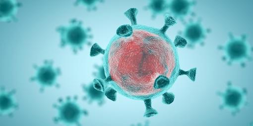 coronavirus 500x250px